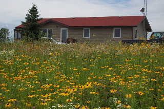 House at the Lake
