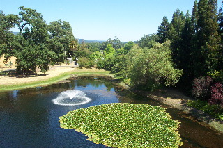 Sterling Winery Lake
