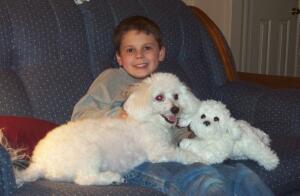 sam with more dgs